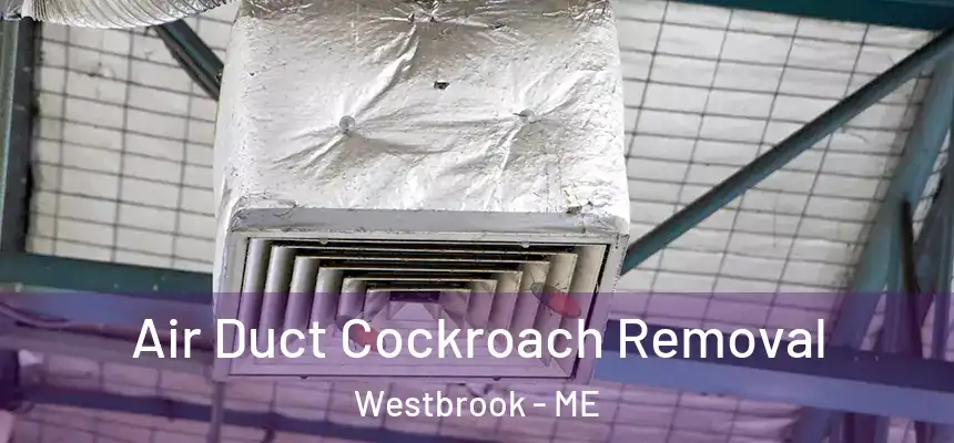  Air Duct Cockroach Removal Westbrook - ME