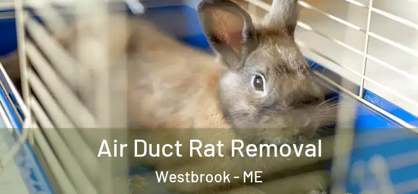  Air Duct Rat Removal Westbrook - ME