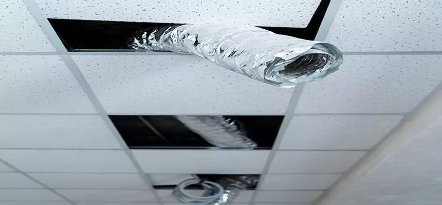 Affordable HVAC Sanitizing After Pest Removal in Westbrook