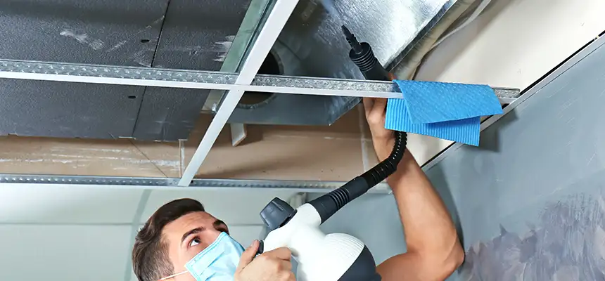 Our Air Duct Rodent Removal Services in Westbrook, ME