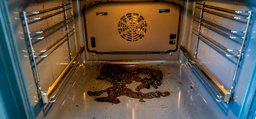 Our Dryer Vent Mold Cleaning Services in Westbrook, ME