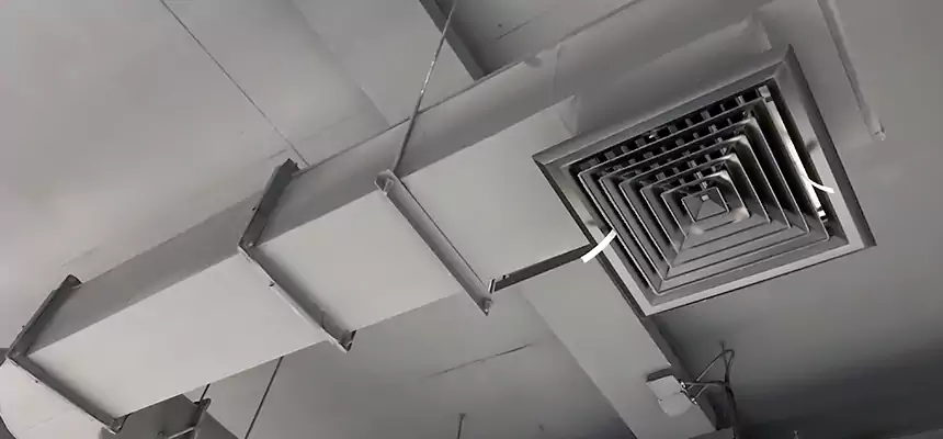 Our Pest Removal From Ducts Services in Westbrook, ME