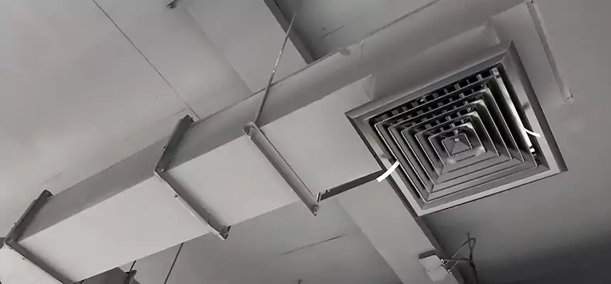 Our Rodent Droppings In Vents Services in Westbrook, ME