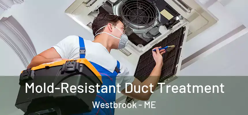  Mold-Resistant Duct Treatment Westbrook - ME