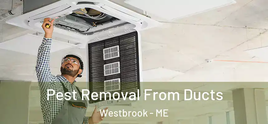  Pest Removal From Ducts Westbrook - ME