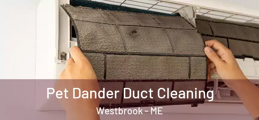  Pet Dander Duct Cleaning Westbrook - ME