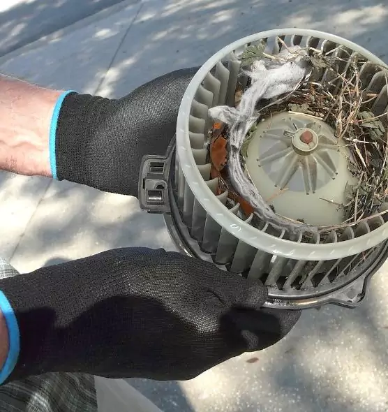 About Air Duct Rat Removal in Westbrook, ME